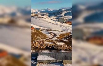 Dağın huzuru, emeğin sesi: İliç’te küçükbaş hayvancılık