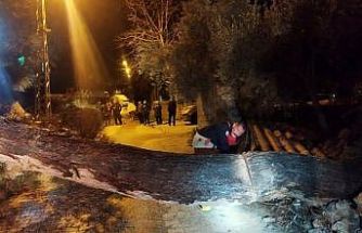 Defne’de devrilen ağaç yolu kapattı