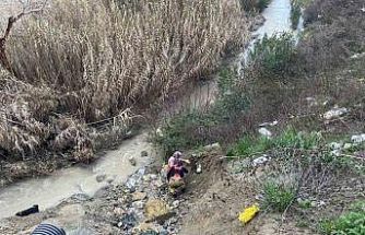 Dere yatağına düşen oğlağı kurtarmak isteyen kadın mahsur kaldı