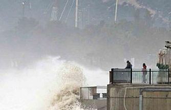 Dev dalgalar sahili dövdü: Martılar balık, define avcıları kıymetli eşya aradı