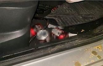 Direğe çarpan otomobildeki 4 kişi yaralandı: Araçtan alkol kutuları çıktı