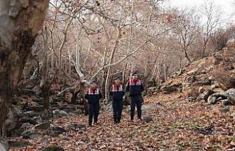 Diyarbakır’ın ekolojik dengesi Çevre ve Doğal Hayatı Koruma Kısmı tarafından korunuyor
