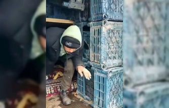 Düzce’de 13 düzensiz göçmen yakalandı