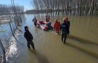 Edirne’de koyunlar botlarla kurtarıldı
