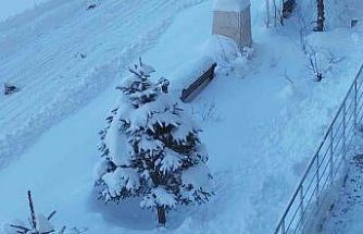 Erciş’te kar yağışı