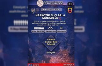 Ergani’de ocak ayında 55 bin 602 şahıs sorgulandı