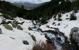 Eriyen kar ve yağmur suları su kaynaklarını coşturdu
