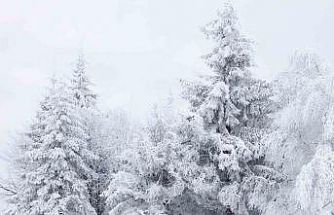 Erzincan için kuvvetli kar yağışı uyarısı