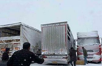 Erzincan’da yolda kalan 200 büyükbaş hayvana yem takviyesi