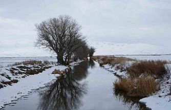 Erzurum’da kar yağışı etkili oluyor