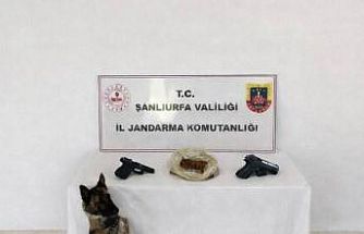 Eyyübiye’de uyuşturucu operasyonu: 1 tutuklama