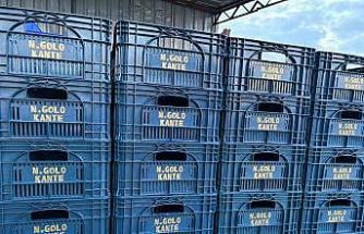 Fanatik üreticinin ‘Kante’ sevgisi: Domatesleri topladığı kasaya bile onun adını yazdırdı