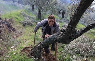 Film sahnesi değil gerçek hayat