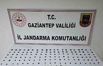 Gaziantep’te 195 adet sikke ele geçirildi: 1 gözaltı