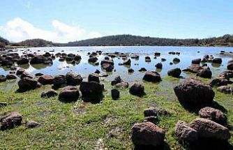 Geçen yıl tamamen kuruyan Tepegöl yeniden su tuttu