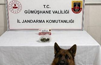 Gümüşhane’de uyuşturucu operasyonu