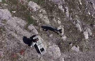 Habur’da ele geçirilen 38 kınalı keklik doğaya salındı