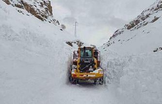 Hakkari-Çukurca yolunda çığ paniği: O anlar kamerada
