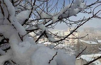 Hakkari’de 144 yerleşim yerinin yolu ulaşıma kapandı