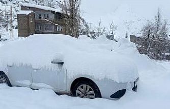 Hakkari’de 210 yerleşim yerinin yolu kapandı