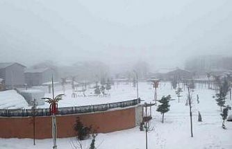 Hakkari’de karla karışık yağmur ve sis etkili oldu