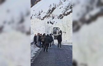 Hakkâri-Van ve Şırnak yolunda çığ alarmı