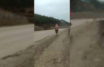 Harmancık yolunun bitmeyen çilesi