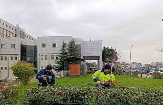 Hastane bahçelerinde budama ve bakım çalışması yapılıyor