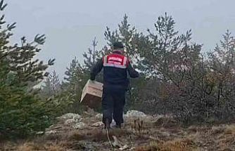 HAYDİ ekipleri doğadaki canlıları unutmadı