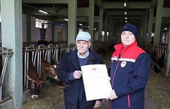 Hayvancılıkta örnek işletmenin ’Hastalıktan Ari Sertifikası’ yenilendi