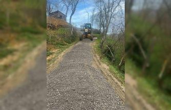 Iğdır köyünde bakım çalışmaları sürüyor