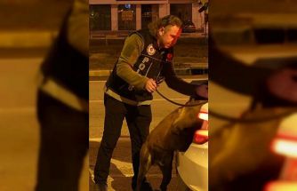 Isparta’da denetimlerde 32 bin 878 şahıs sorgulandı