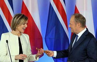 İzlanda, gelecek aylarda AB üyeliği müzakereleri için referanduma gidecek