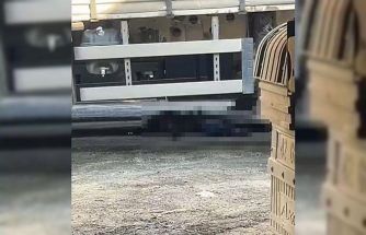 İzmir’de geri manevra yapan tırın altında kalan şoför hayatını kaybetti