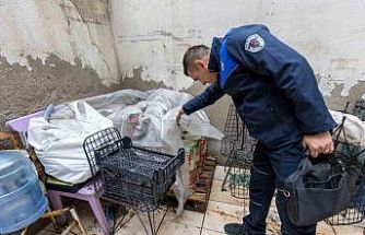 İzmir’de sağlıksız gıda üretimine suçüstü
