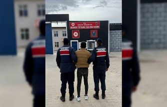 Jandarma aranan 50 kişiyi gözaltına aldı