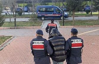 Jandarmadan uyuşturucu tacirine baskın: 1 tutuklama