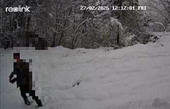 Kaçak avlanan şahıs fotokapana yakalandı