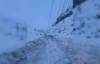 Kar yağışı nedeniyle devrilen 300 elektrik direği yenilendi