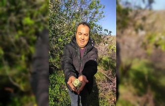 Kara kışta badem sürprizi