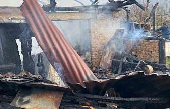 Karabük’te müştemilat yangını: 2 köpek yavrusu telef oldu