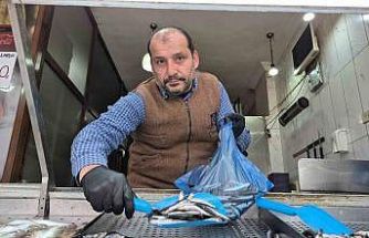 Karadeniz’de hamsi yerini istavrite bıraktı