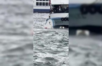 Karaköy’de yolcu vapuru balıkçı teknesine çarptı: Denize düşen kişi kurtarıldı