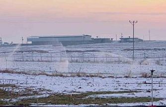 Karla kaplı arazide kaçak elektrikle sulama