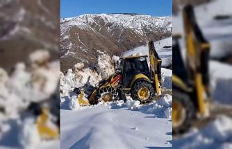 Karla mücadele çalışmaları devam ediyor