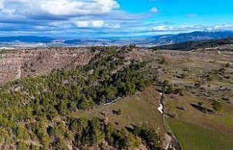 Karlar eridi, yaylalar yeşile bürünmeye başladı