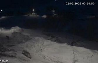 Kars’ta kurtlar köylerde cirit atıyor