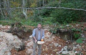 Kastamonu’daki gizemli yer altı yapıları definecilerin talanına uğradı