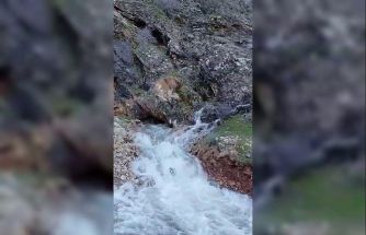 Kayalık alandan sular çıktı