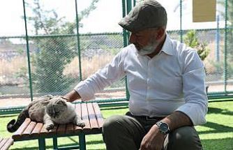 Kayseri’de ilk ve tek küçük dostları Kedi Kasabası, ziyaretçi rekoru kırıyor